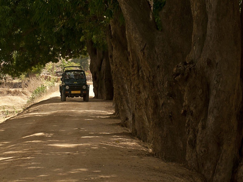 panpatha-jeep-safari-img